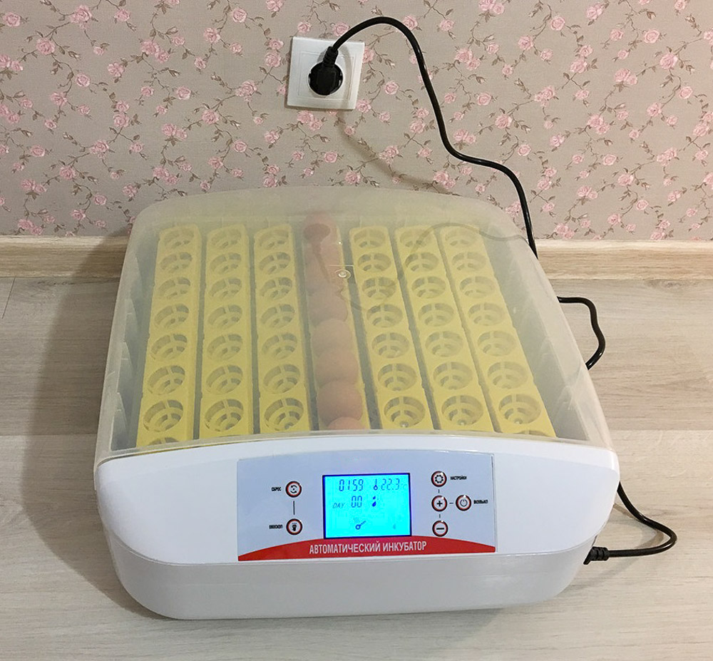 Купить инкубатор АИ для перепелиных яиц автоматический цена в Москве
